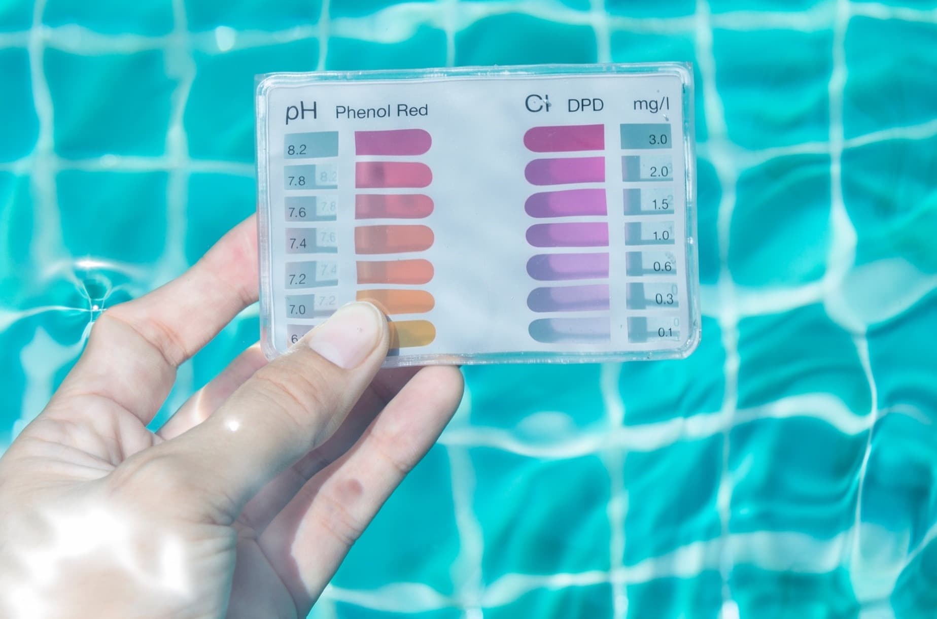 Professional water testing at Pools By You